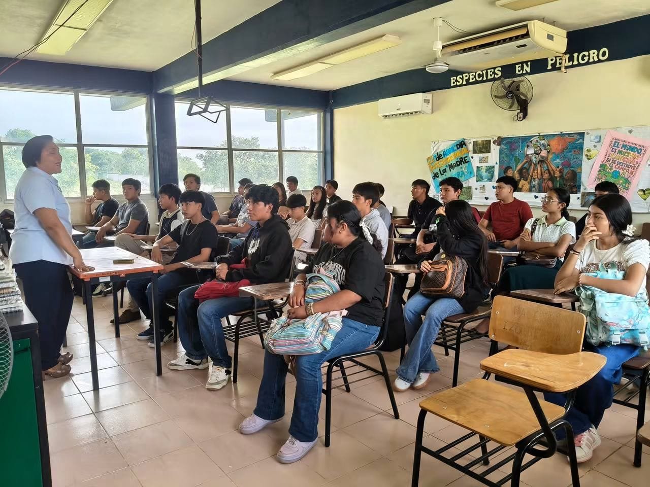 Aula